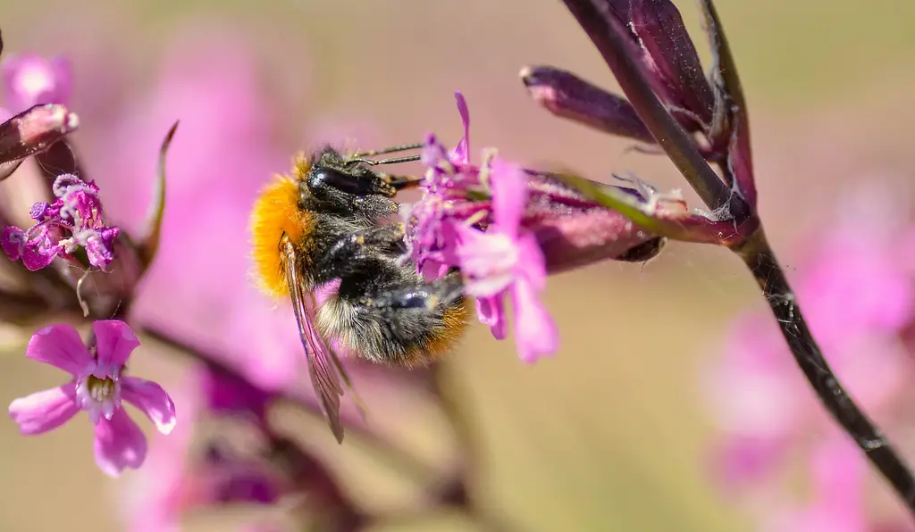 網路開店必學的商業攝影:8個超實用AI免費去背網站大公開!