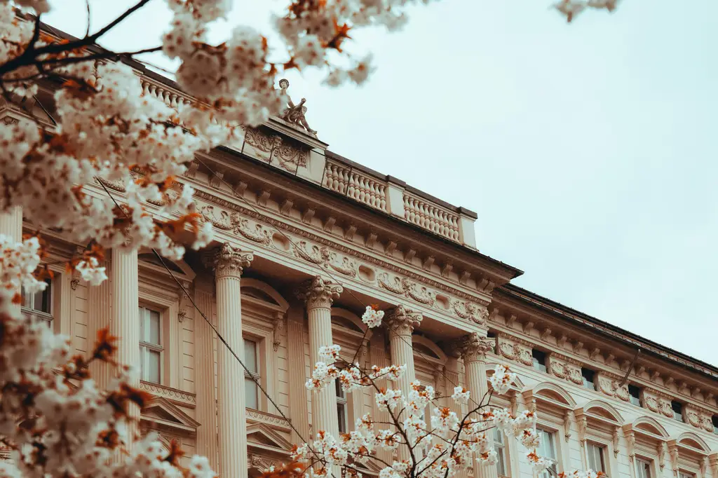 如何下載免費遊戲?Steam全攻略